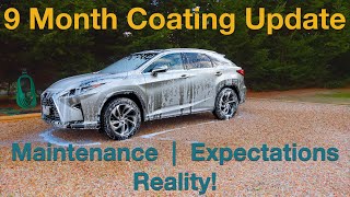 Lexus RX 9mth Coating Update | Maintenance Wash, Clean & Results!