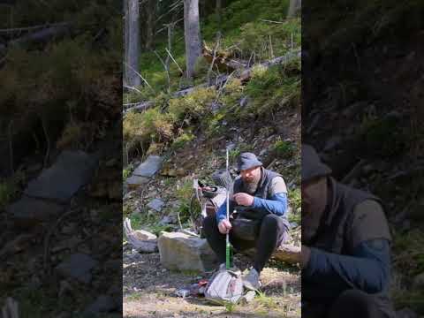 обережно рисі #mountains #hiking #camping #adventure #ґорґани #nature #гумор