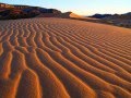 Utah's Ecosystems and Adaptations