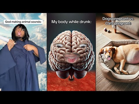 DIMPEY TikTok Compilation 2025 - Funniest Videos