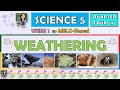 Weathering and Erosion Concepts