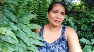 Plantas e folhagens um pouquinho da florestinha p/matar saudades de vcs. 🪴☘️🌿🥰