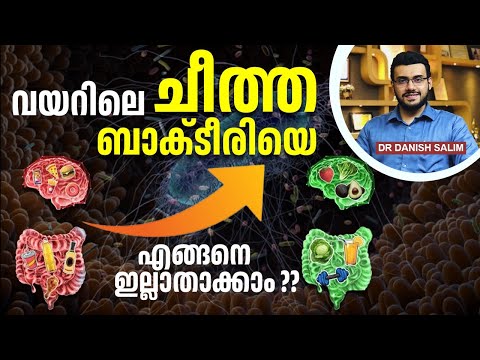 2331:,വയറിൽ ചീത്ത ബാക്ടീരിയ കുറച്ചു  നല്ല ബാക്റ്റീരിയ എങ്ങനെ കൂട്ടാം? Good vs Bad Bacteria In Gut
