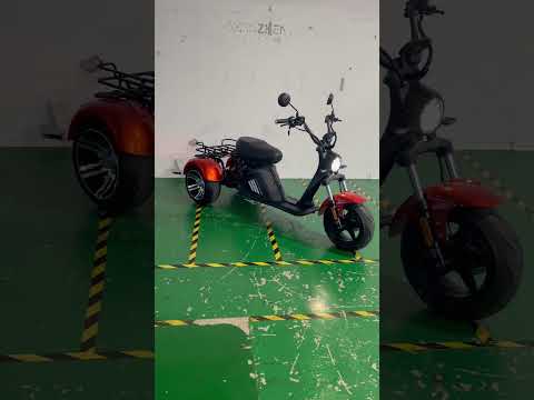 3 wheel electric scooter #rooder #citycoco #factory