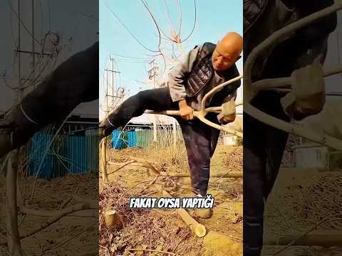 Ağacı Kesmeden Önce Dirgene Dönüştürmek 🌴🪓