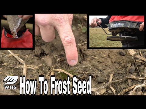 How To Frost Seed Food Plots And Switchgrass