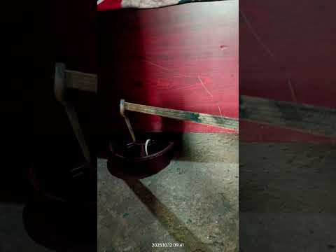 बेड के नीचे सांप #snake #tranding #comedy #funnujokes #comedyvidoes