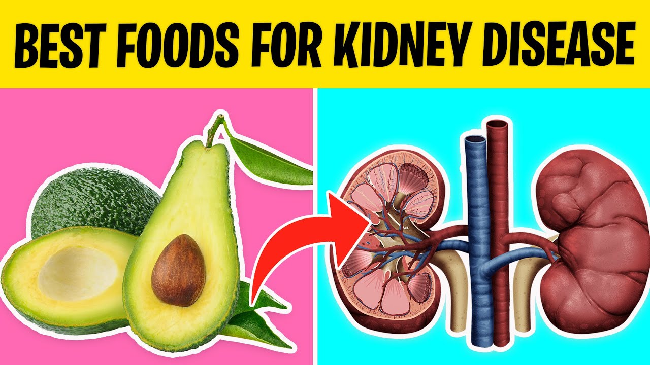 Top 10 Best Foods For People With Kidney Disease￼