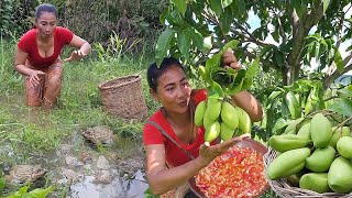 Life in jungle, Catch frog with snail, Frog curry with snail for dinner, Green mango with salt chili