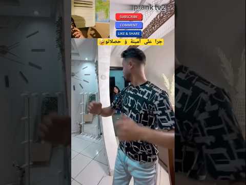 حصل حصلة تاع الكلاب 🤣 zineddine amina #zineddineamina  #aminabuddafly  #amouna_cuisine