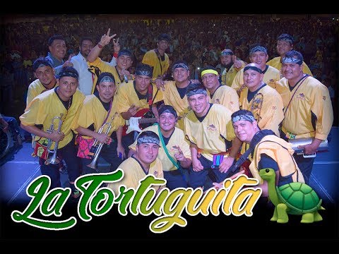 Cohuich - La Tortuguita 🐢