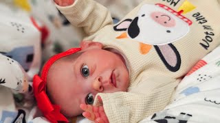 Reborn Nursery Tour 2025 - It's Crazy! 1993 Fisher Price Doll House| Changing Reborn Baby Doll 