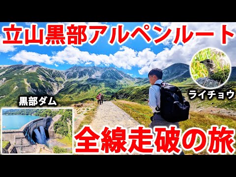 【長野県→富山県】立山黒部アルペンルート・黒部ダムを全線走破の旅