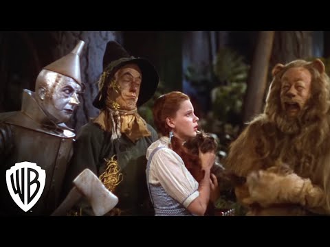 Dorothy Meets The Cowardly Lion