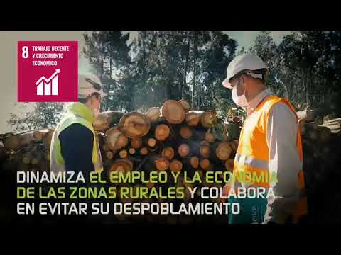 imagen1