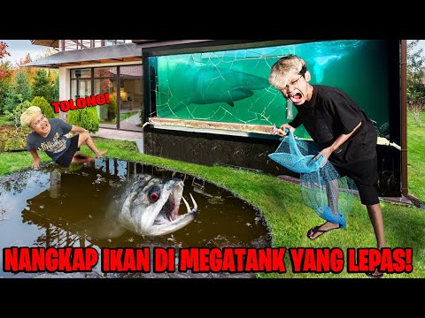 BOCIL NANGKAP IKAN JUMBO YANG LEPAS DARI MEGA TANK!!! KAKI YUTA SAMPAI BERDARAH DIGIGIT!!!