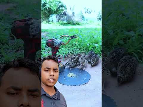 অসাধারণ বুদ্ধি#shortreels #shorts