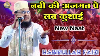 Habibullah Faizi New Naat !! Nabi Ki Azmat Pe Lab Kushai Kahan Teri Huei Padhai !! Ruhani Network