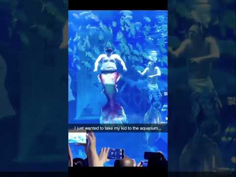 Bro next to him struggling 🤣 #cuereaves #comedyshorts #funnyshorts #comedy #aquarium #teamwork #tv