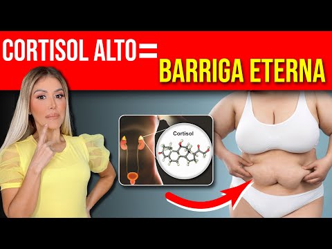 ¿Barriga, estrés y cortisol elevado? Sigue este método y DESCUBRE cómo ELIMINAR tu grasa rebelde