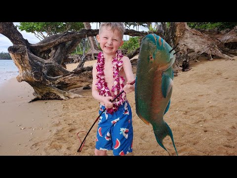 Traveling to Every Island in Hawaii - 9 weeks fishing, camping, hiking, diving & exploring