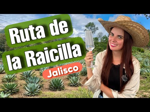 La Ruta de la RAICILLA por la Sierra de JALISCO 😍 MÉXICO 🇲🇽