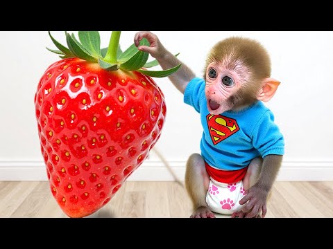 Monkey Baby Bon Bon and the hilarious zombie prank