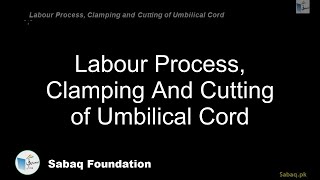 Labour Process, Clamping And Cutting of Umbilical Cord
