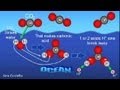 Carbon Dioxide and Ocean Chemistry