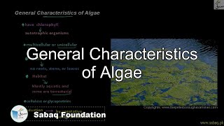 General Characteristics of Algae