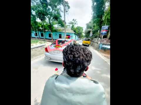 বিয়ের গাড়ি দেখলে আমরা ফুল নিয়ে টানাটানি অলটাইম করি