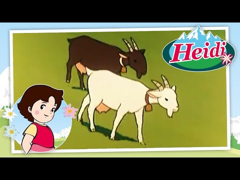 🗻¡Heidi conoce a Pedro! - Heidi - Escenas divertidas 🏔🌹🌲🗻