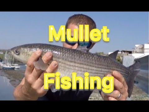 How to Catch Mullet - Float fishing - Shore Sea Fishing Cornwall - The Fish Locker