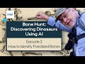 Identifying Fossils and Bones