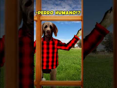 Mi HERMANA TIENE UN PERRO HUMANO!?☠️… #shorts