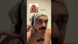 RAÇAS DE CÃES NO TELEMARKETING