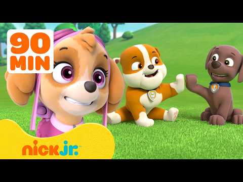 90 Minutes of PAW Patrol Pups Being BEST Friends! ๐ถ ft. Skye, Zuma, and Rubble | Nick Jr.