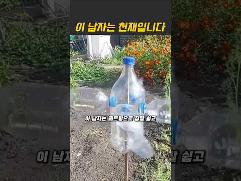 허수아비대신 이거 만들어보세요 #diy #텃밭 #정원 #아이디어 #농사 #조류퇴치