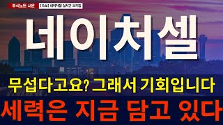 "네이처셀 주가전망" 네이처셀, 지금 나가면 안 되는 이유