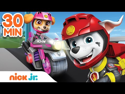 Download Paw Patrol To Watch Offline - 122021