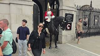 APPLE POSING POLICE HORSE BUMPS TOURIST #kingsguard 
