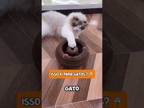 ARRANHADOR DOBRÁVEL PARA GATOS