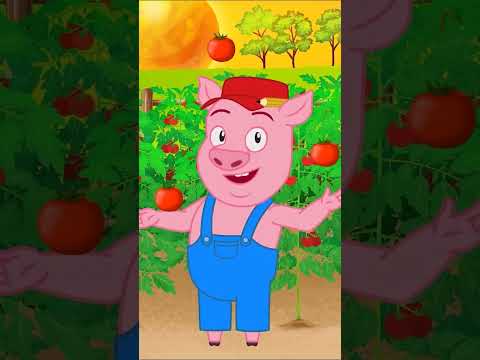 The Three Little Pigs Pizza Party 🍕 | Fairy Tales #shorts   #fairytales #stories  #forkids