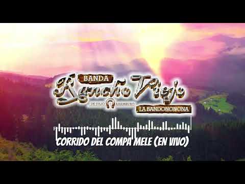 La Bandononona Rancho Viejo de Julio Aramburo - Corrido Del Compa Mele (En Vivo / Visualizer)