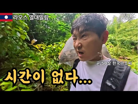 물고기들이 죽기 전에 도착해야 한다 | 라오스 밀림 속 민물돔 일병 구하기 | 두리안 #2