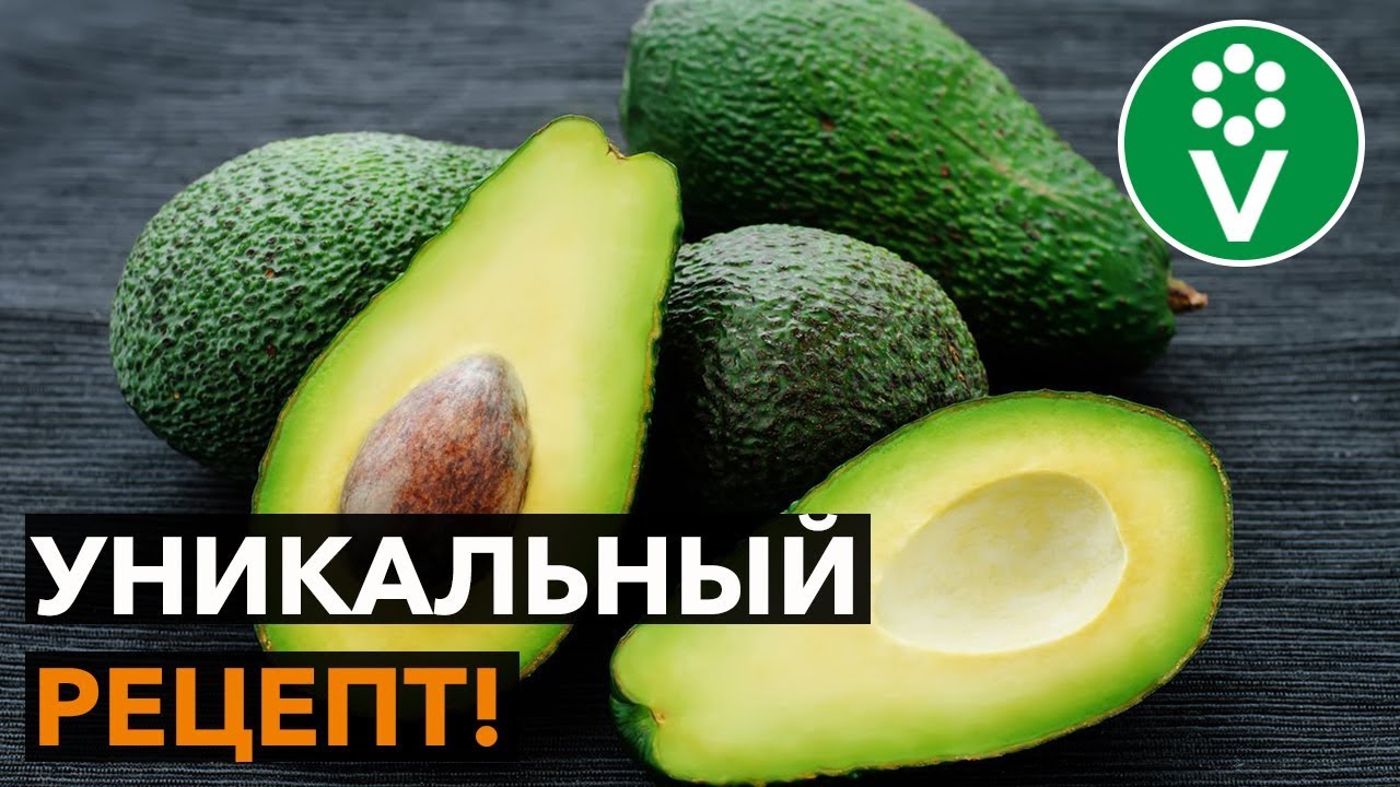 Авокадо от фитофторы! Готовим экстракт своими руками