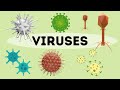 Understanding Viruses