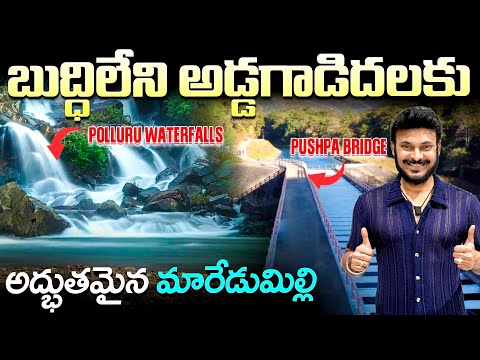 మారేడుమిల్లి ప్రకృతి అందాలు Jai PSPK | Pushpa bridge Maredumilli in 4K | Ravi Telugu Traveller