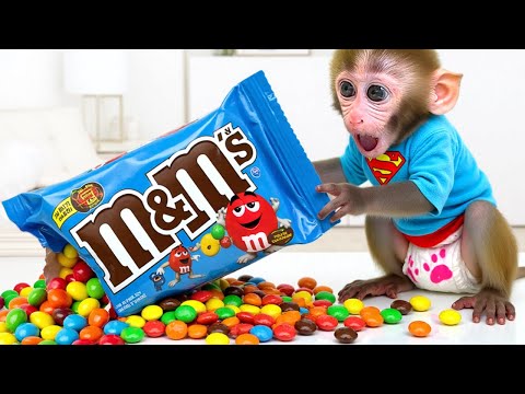 Monkey Baby Bon Bon : The Magical Adventure Begins With a Banana
