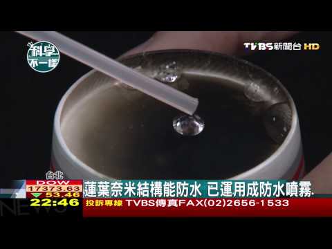 【科學不一樣】蓮葉奈米結構能防水　已運用成防水噴霧 - YouTube